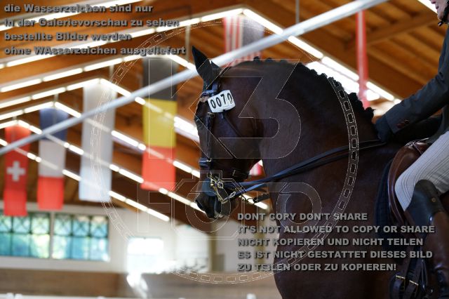 s_K3F09509.JPG